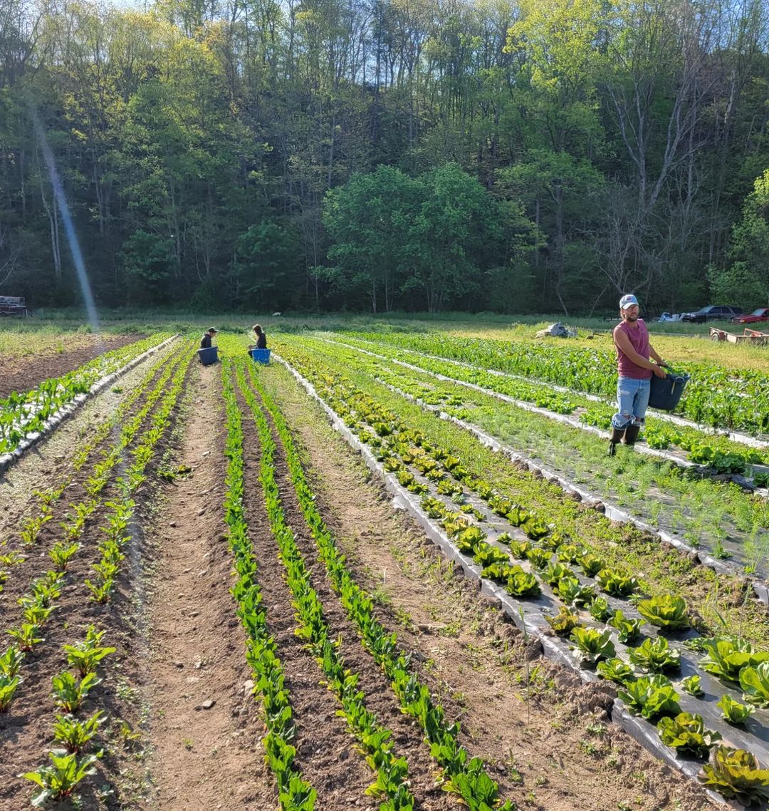 Fiddler's Green Farm