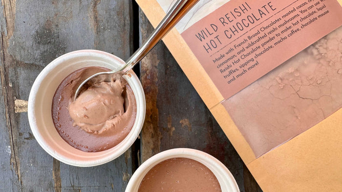 A small cup of silky chocolate mousse and a packet of Wild Reishi Hot Chocolate