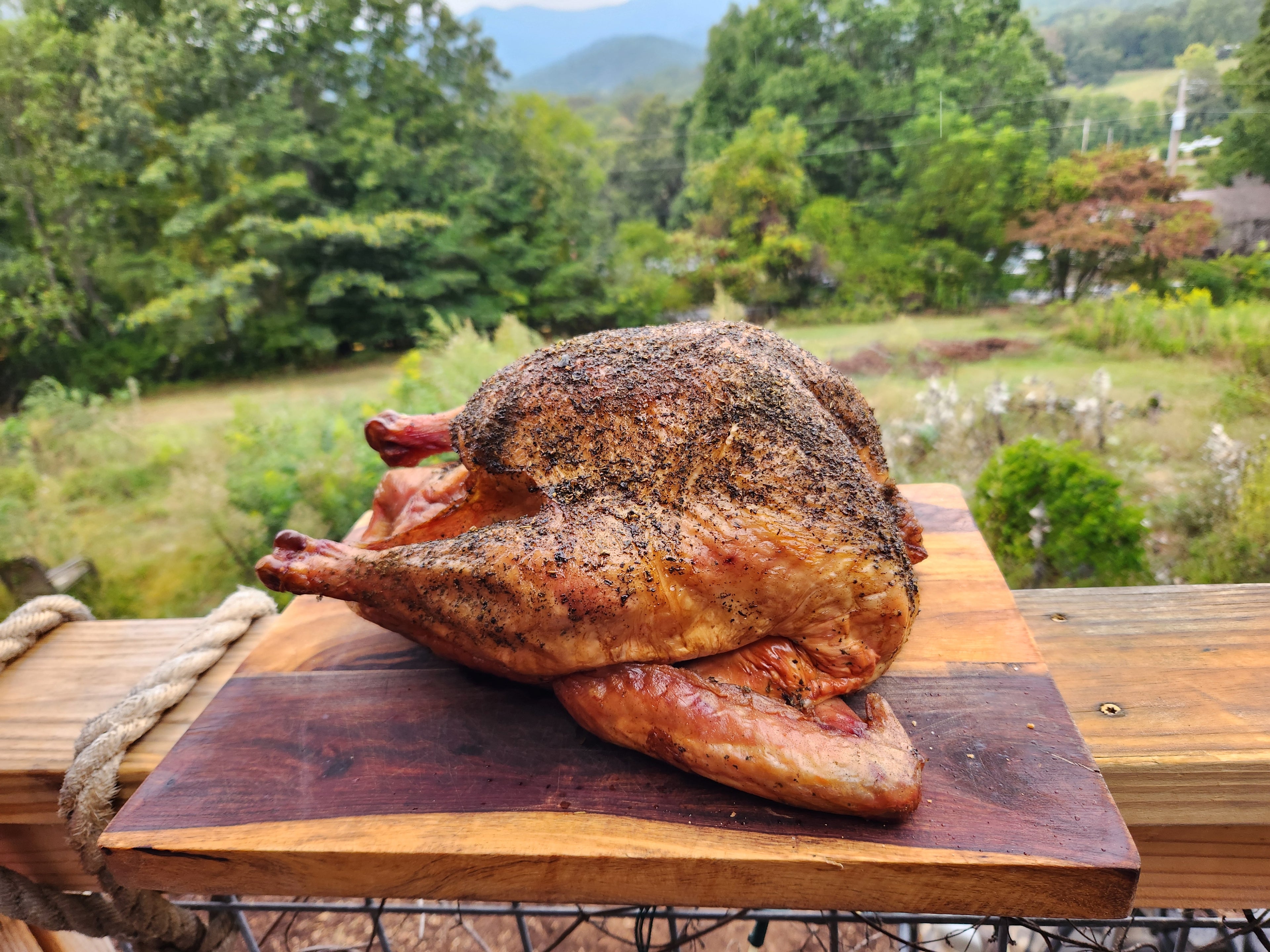 Well-Seasoned Smoked Turkey