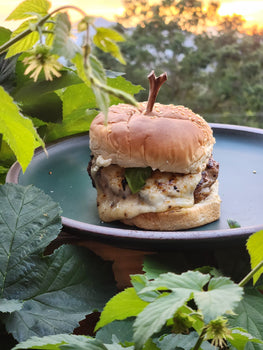 Smoky Mountain Burger