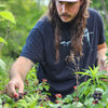 Blackberry Bramble Tea * Summer Seasonal *