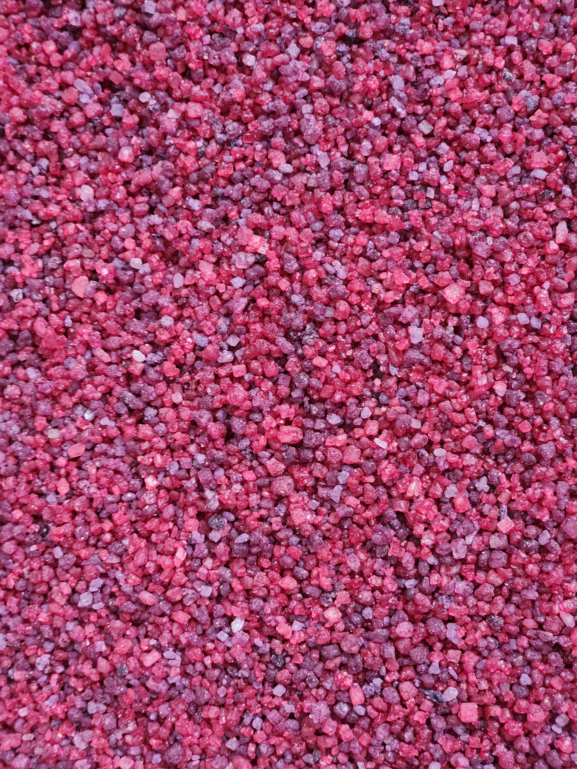 Close-up of Blue Ridge Sprinkle