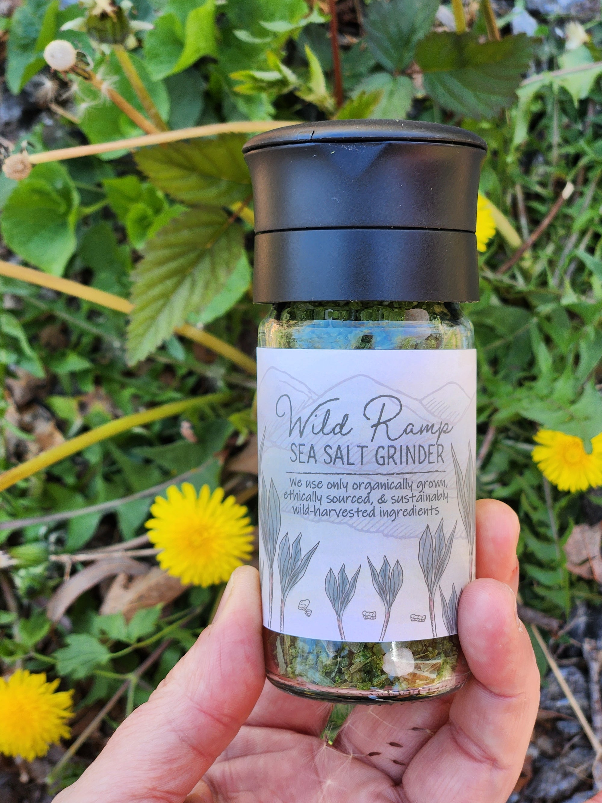 Wild Ramp Sea Salt * Spring Seasonal *