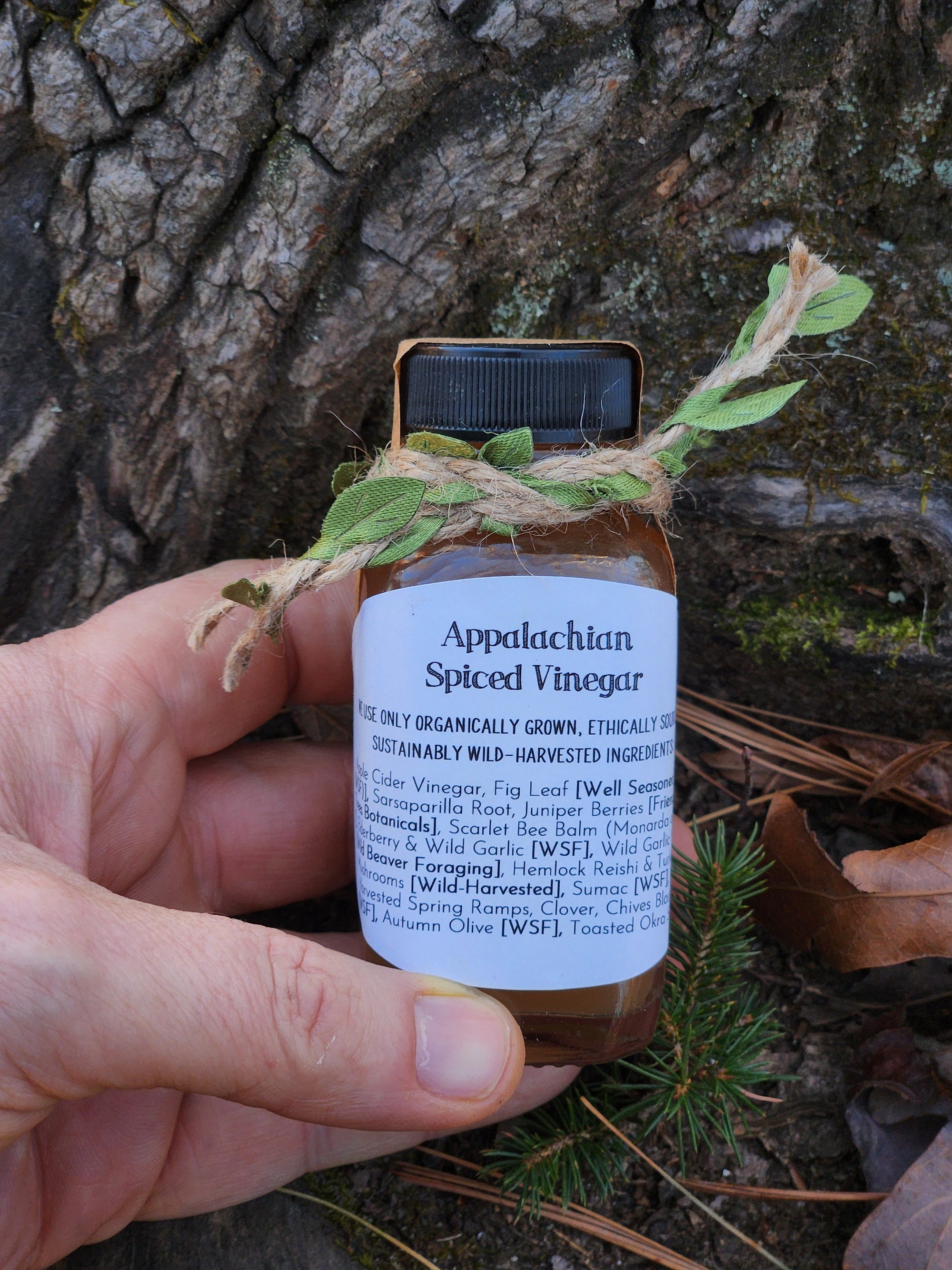 Appalachian Spiced Vinegar