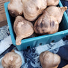 Black Garlic ( 1 head)